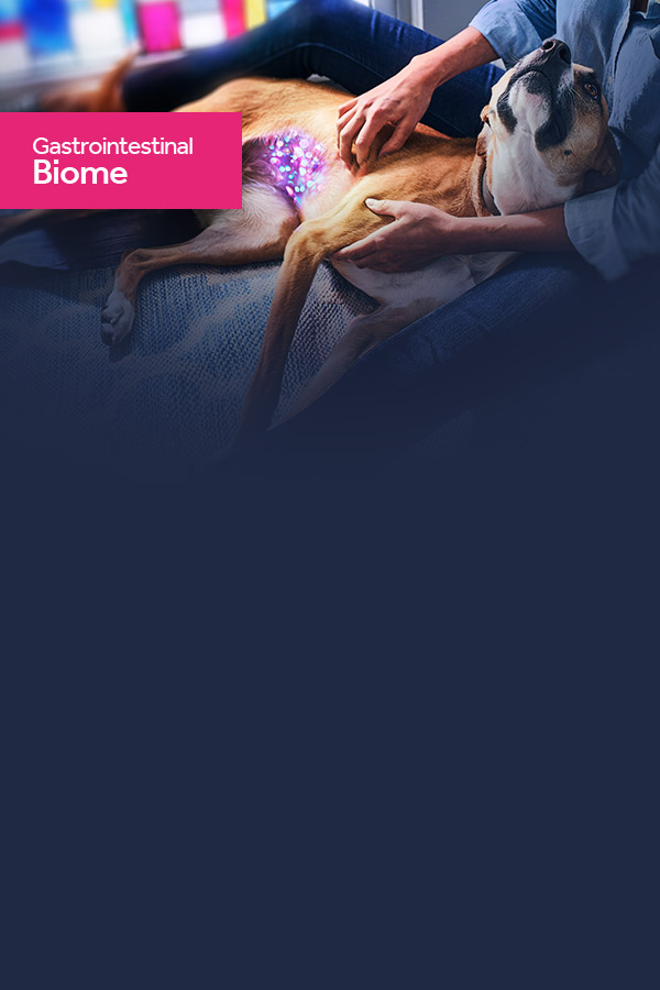 Hills Prescription Diet Gastrointestinale BIOME con Microbioma