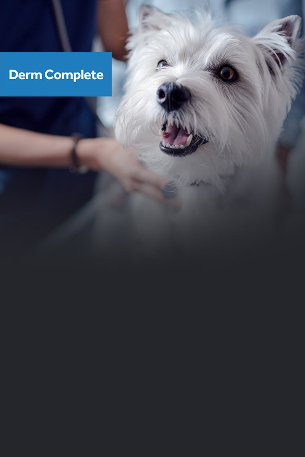 Derm Complete Canina