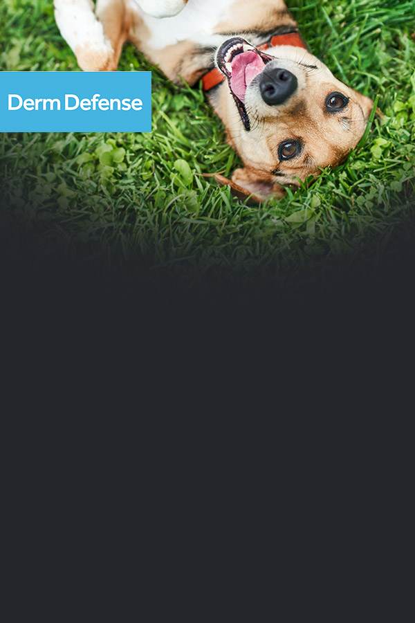 Derm Defense Canina