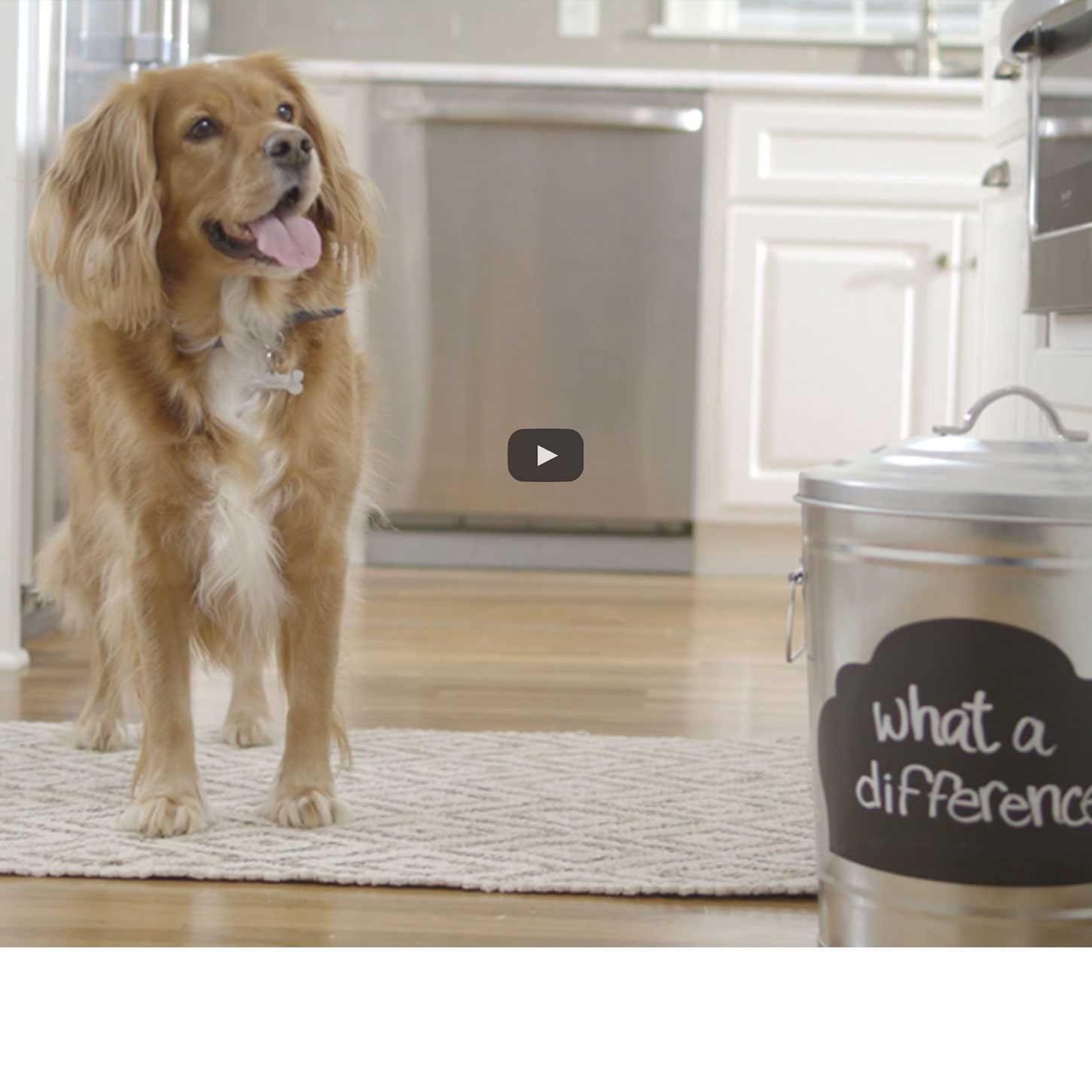 Scopri le nostre testimonianze