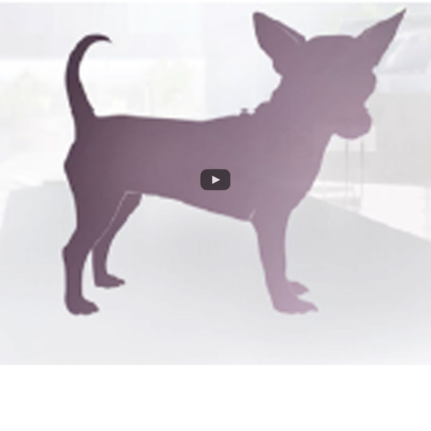 Maggiori informazioni sul microbiota intestinale