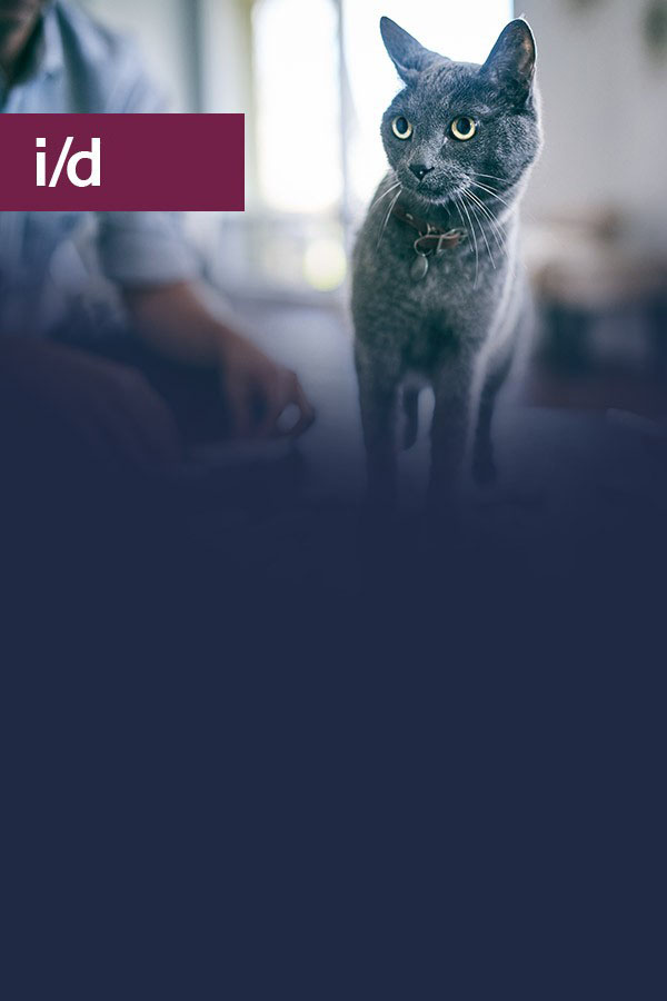 Hill's Prescription Diet i/d per gatto