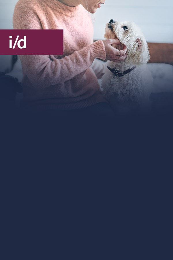 Hill's Prescription Diet i/d per Cane