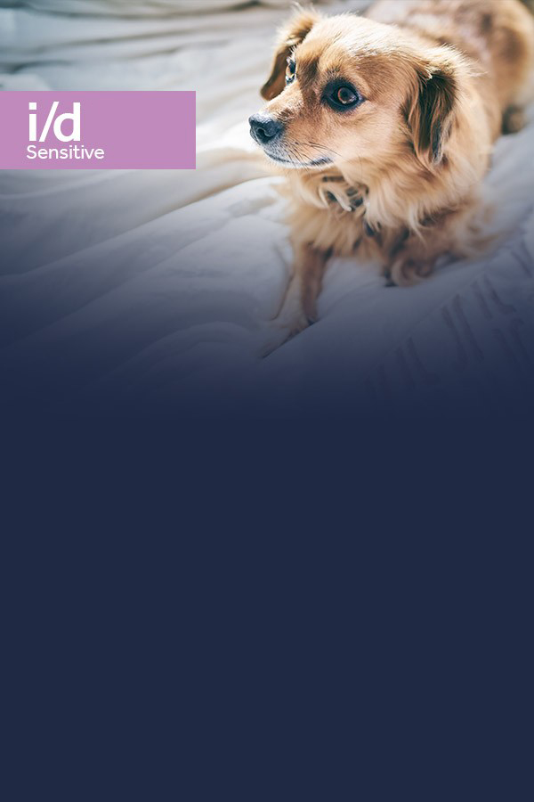 Hill's Prescription Diet i/d Sensitive per Cane