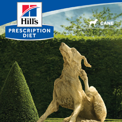 Derm Complete - Volantino per la sala d’attesa