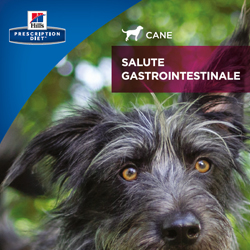 Guida per i proprietari di animali - Cane