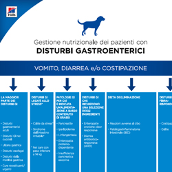  Protocollo per la gestione dei disturbi gastrointestinali