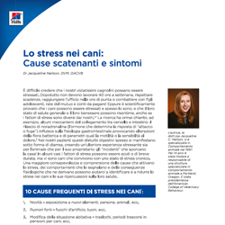  Lo stress nei cani: cause scatenanti e sintomi