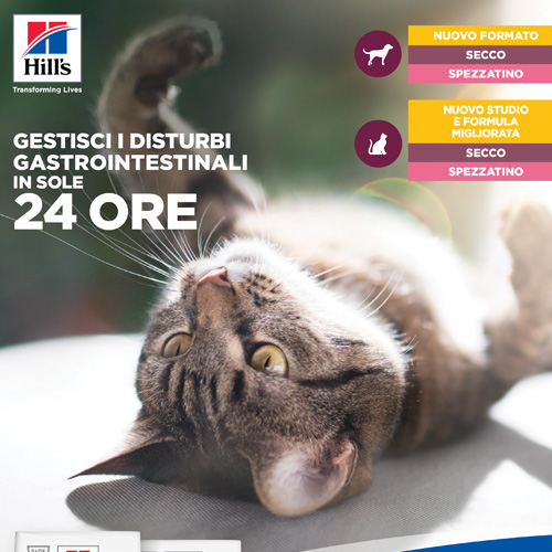Tabella di classificazione delle feci 