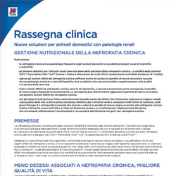 Rapporto sulle evidenze cliniche k/d™