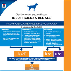 Protocollo insufficienza renale