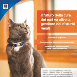  Scheda informativa Renal