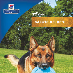 Guida per i proprietari di animali - Cane